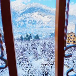 Double Room Mountain View